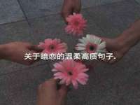 上海而萨而网络科技有限公司