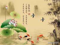 上海而萨而网络科技有限公司