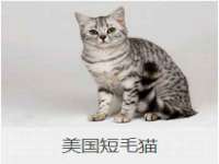 上海而萨而网络科技有限公司