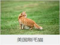 上海而萨而网络科技有限公司