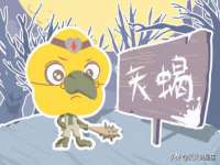 上海而萨而网络科技有限公司