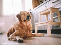 上海而萨而网络科技有限公司