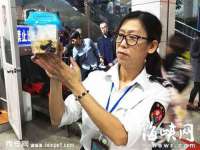 上海而萨而网络科技有限公司